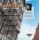 Harold - Mystère à la cathédrale